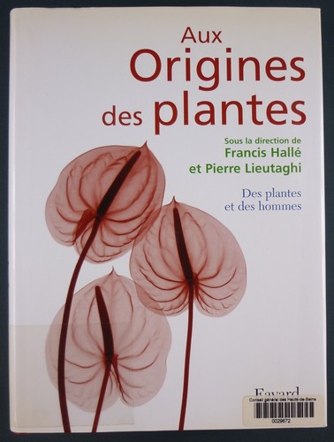 Aux origines des plantes - origines,
