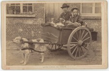 Cabinet Zazzarini & Co à