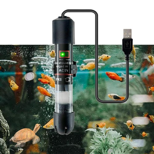 Chauffage pour petit aquarium - chauffage,