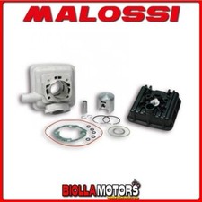 318393 CYLINDRE KIT MALOSSI