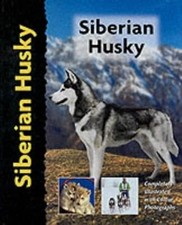 Siberian Husky (Pet Love)
