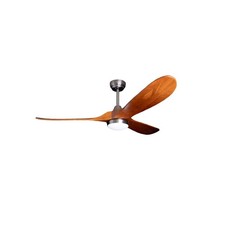 Ventilateur de Plafond Avec