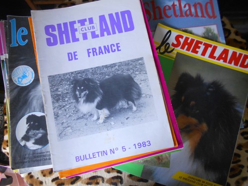 Lot revues shetland - lot, du