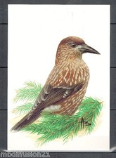 POSTCARD**CASSENOIX MOUCHETE**ROYAL BELGE LEAGUE PROTECTION/BIRDS-BUZIN 