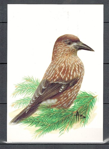 Carte postale cassenoix - carte, postale**cassenoix