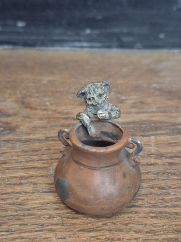 Petit chat chaudron - chat, au