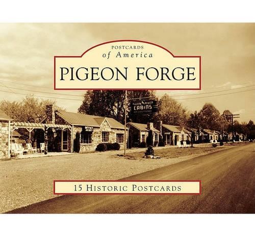 Veta wilson king pigeon - pigeon, forge