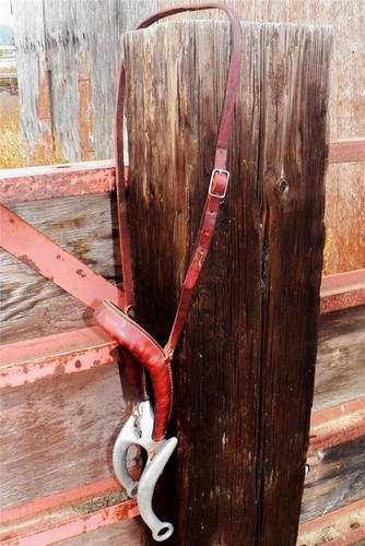 Harnais hackamore vintage - harnais,