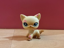 Authentic Littlest Pet Shop #816 Shorthair Cat / Original Hasbro LPS