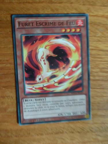 Carte furet escrime - carte, gi