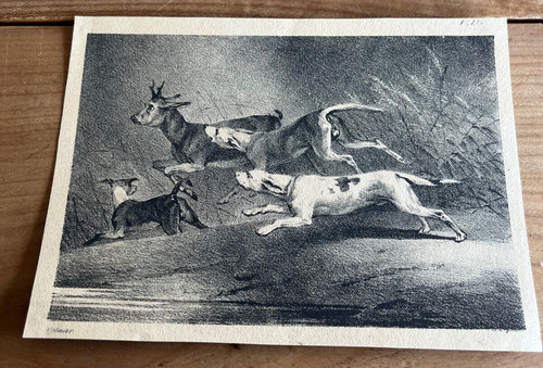 Gravure ancienne chien n89 - ancienne,