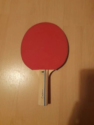 Raquette ping pong inesis - pong,