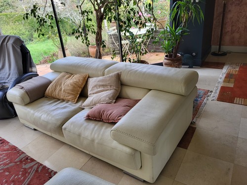 Vends canapés roche - 2, bobois