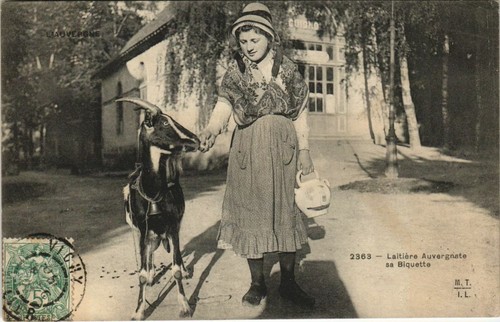 Cpa laitiere auvergnate - auvergnate, sa
