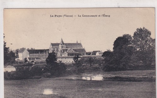 Postcard carte postale - 🦬postcard/carte,