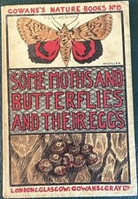 Moths & Butterflies & their