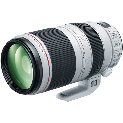 Canon 100 400mm 5 - 100-400mm, f/4.5-5.6l