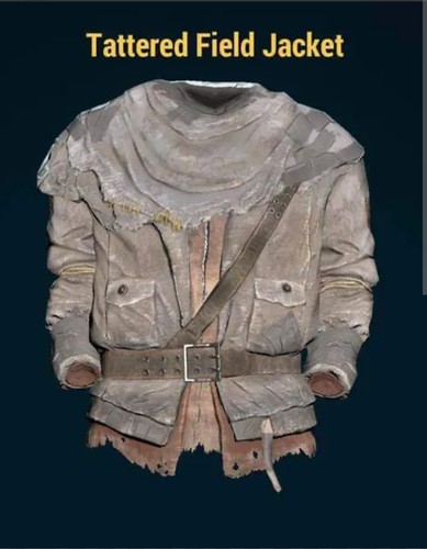 Fallout tattered - 76,
