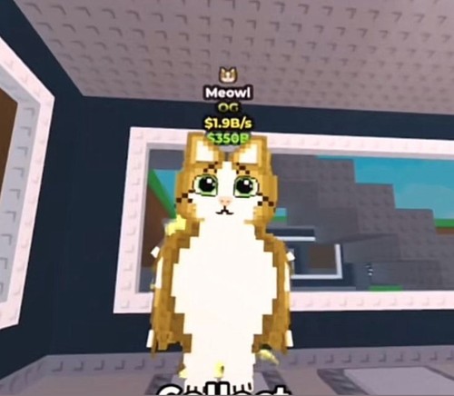Meowl s og - 🌟meowl, 🐱