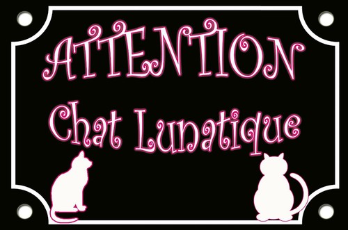 Plaque rue chat - rue, a