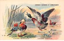 Chromos -COR12136 - Wild and Domestic Animals - Mandarin Duck - Duck