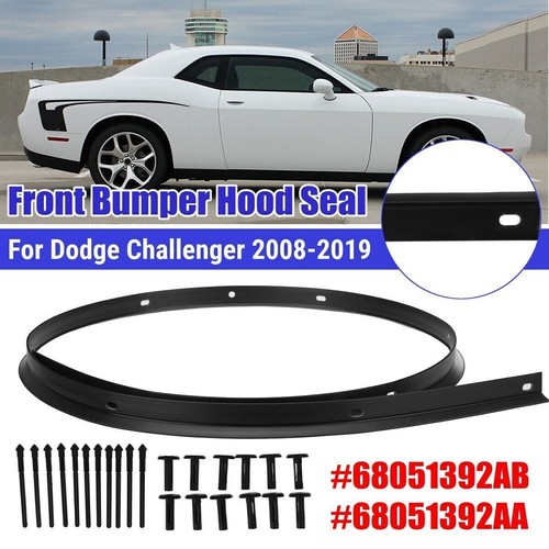 Pour dodge challenger - challenger, 08-19