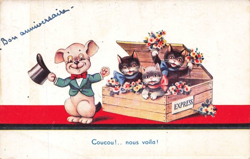 Chats chien dans une - et,