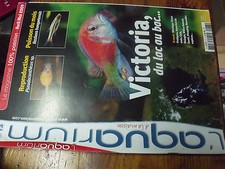 µ? Revue Aquarium a la maison n°73 Pierre vivante Poisson clown Platys Rasbora