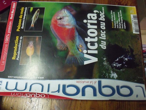 Revue aquarium la maison - aquarium, a