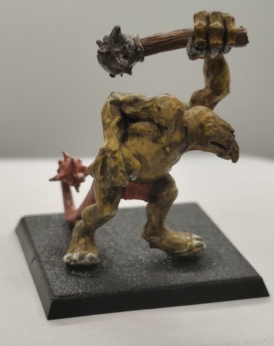 Warhammer fantasy citadel c25 - fantasy,
