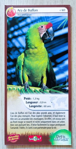 Carte merveilles monde - du,