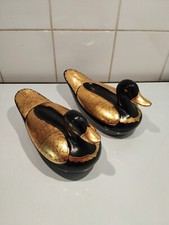 Couple De Canards Boîtes En