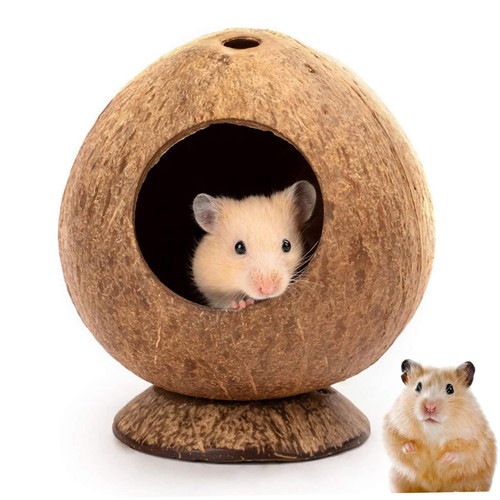 Maison pour hamster - de, 13