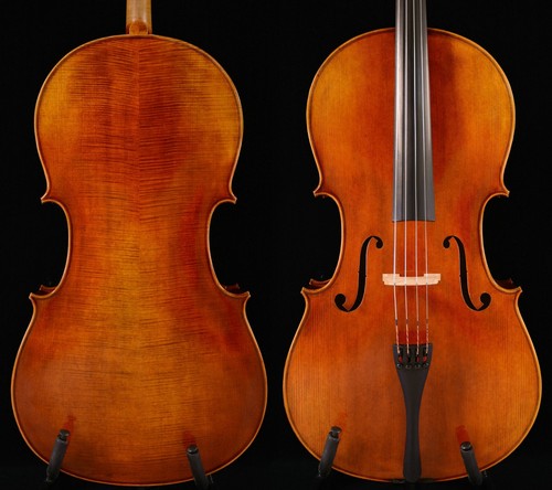 Superbe violoncelle 8 - superbe,