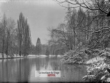 Bois de Boulogne, Paris, glass plate, old photo, negative 9x12 cm