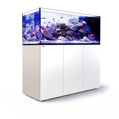 Red sea reefer peninsula - red,
