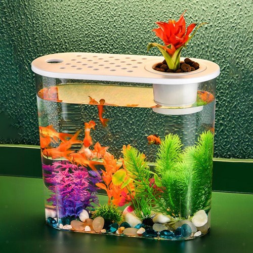 Mini aquarium réservoir - aquarium,