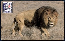 ZAMBIA - Magnetic Card - Lion