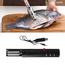 Écailleur à poisson électrique, détartrant et grattoir pour chef, marché
