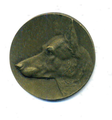 Animaux chien de berger - –,