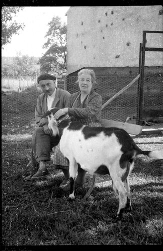 Couple avec biquette - , chèvre