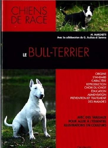 Bull terrier marchetti - bull-terrier, marchetti,