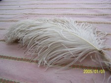 Accessoire années 1930 pour