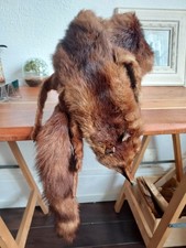 Étole renard vintage années