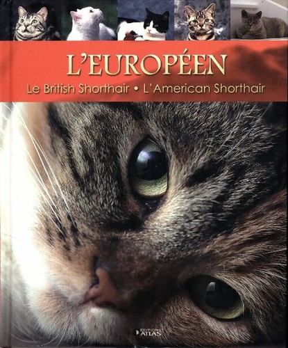 Européen le british - l'européen,