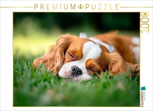 Calvendo puzzle cavalier - calvendo,