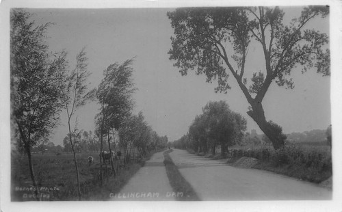 Carte postale suffolk - postale,