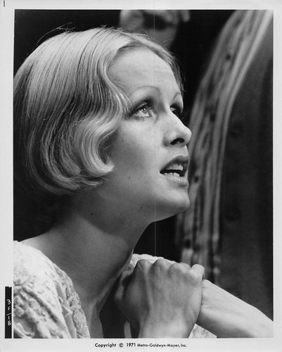 Twiggy the boyfriend photo - twiggy,