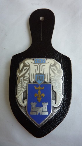 Insigne militaire pucelle - insigne, du