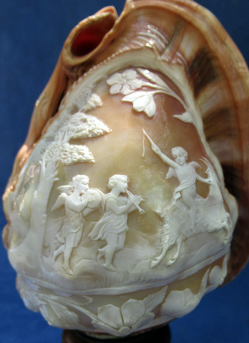 Cameo shell lamp lampe - cameo, camÉe